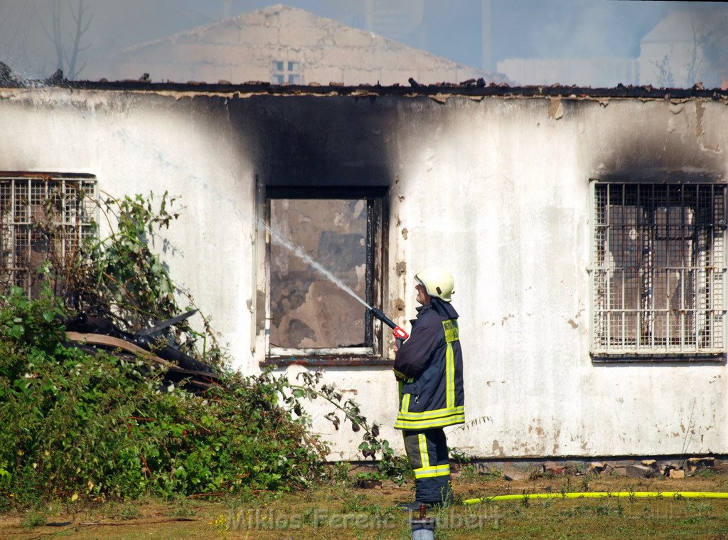 Feuer Koeln Ossendorf Butzweiler Hof neben IKEA P198.JPG